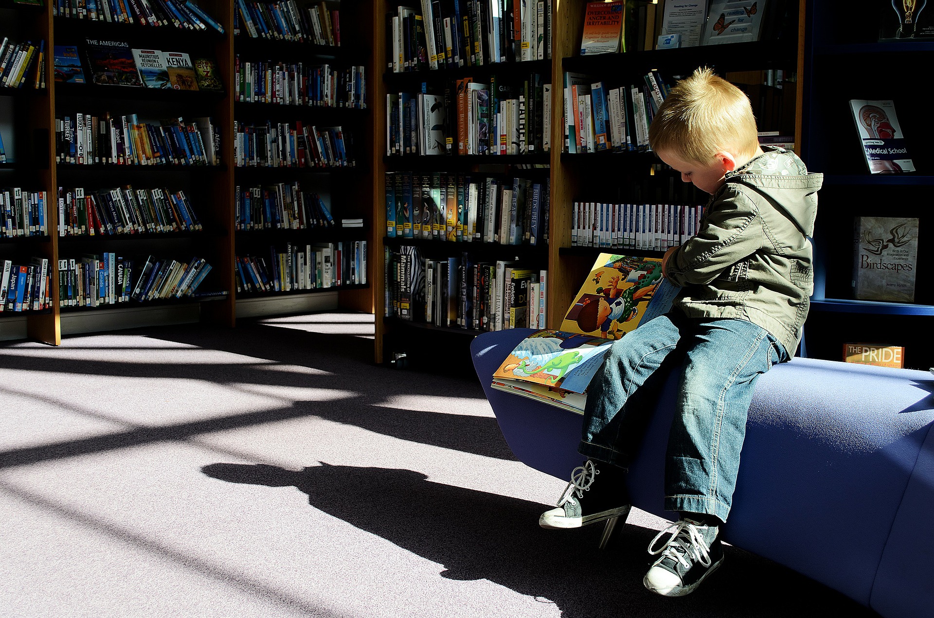 Boy reading books at Thomas Poole Library Nether Stowey