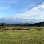 Building Stones and Geology of the Quantock Hills and the surrounding area - A talk by Garry Dawson.