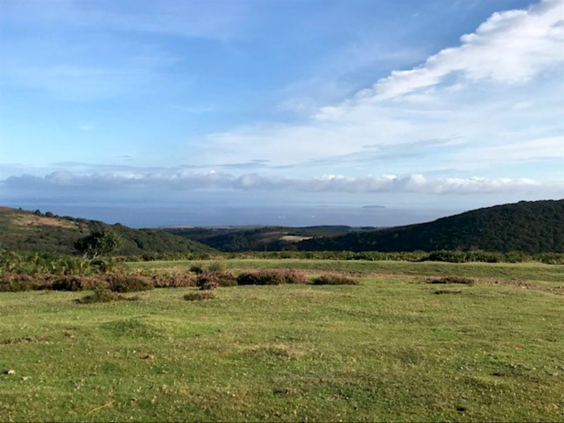 Building Stones and Geology of the Quantock Hills and the surrounding area - A talk by Garry Dawson.