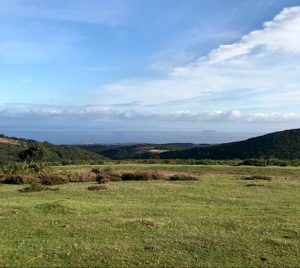 Building Stones and Geology of the Quantock Hills and the surrounding area - A talk by Garry Dawson.